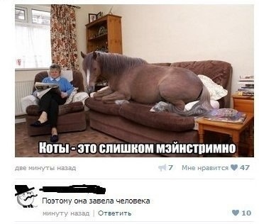 Смешные комментарии из социальных сетей 22.02.2017