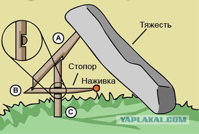 Уфологу удалось получить снимки трупа инопланетянина