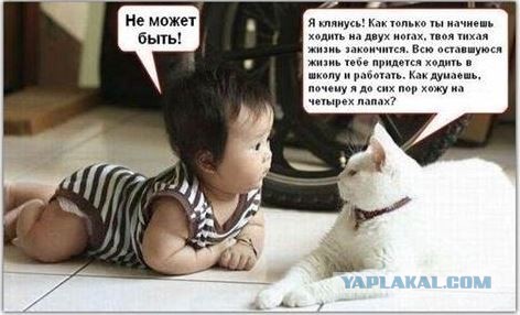Смешные и не очень жипэги..