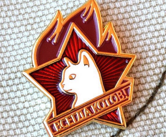 Жизнь домашнего приюта для котеек 168
