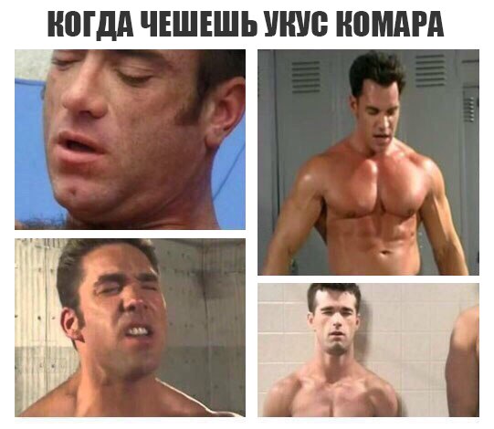Картинки с глубочайшим жизненным смыслом. Часть третья