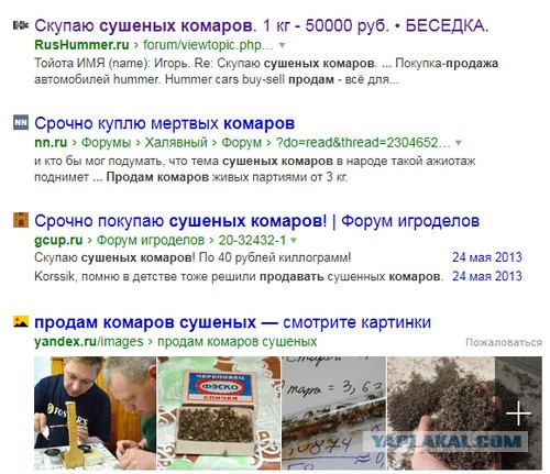 Как построить на даче искусственное болото