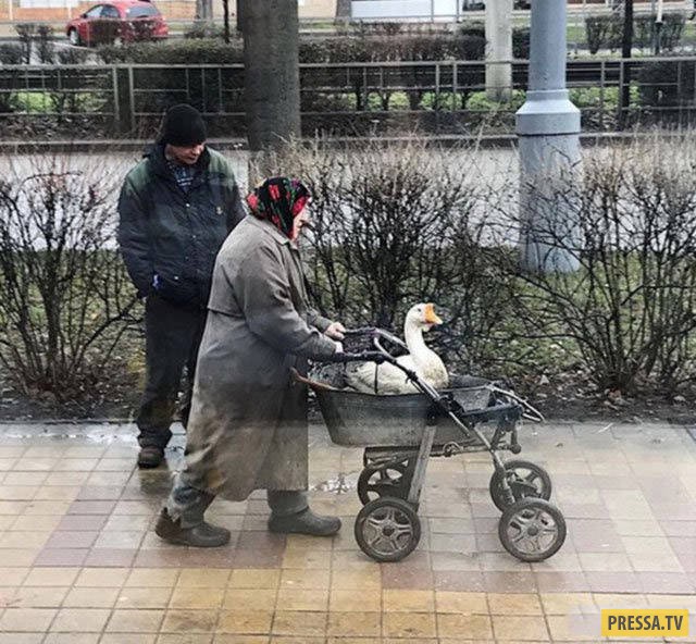 Подборка интересных и веселых картинок