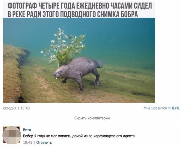 Смешные картинки из сети