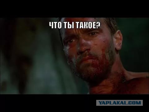 Россия вложит в Абхазию шесть миллиардов рублей