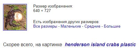 Как наложить кирпичей в лесу