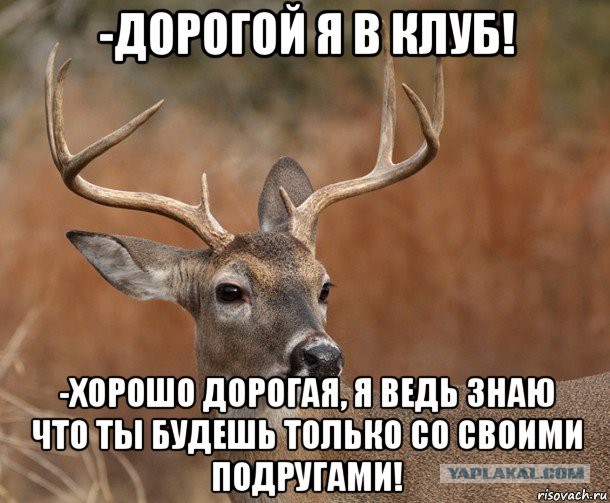 Мужики стоит ли отпускать жену на дискотеку с подругами?