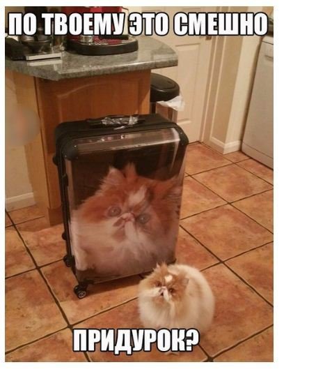 Нестандартный юмор
