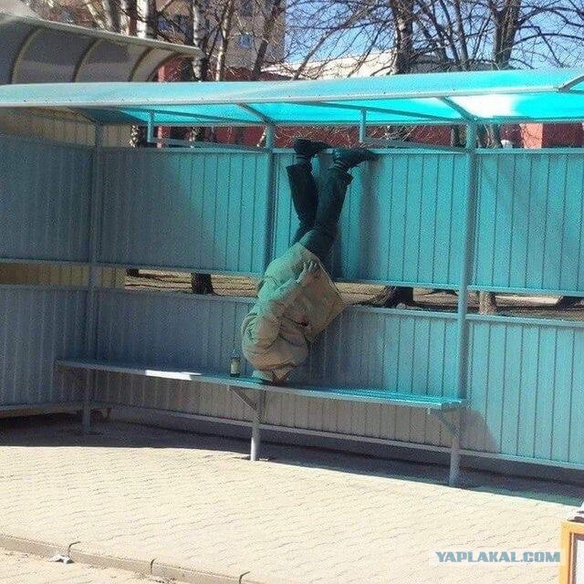 Запилю-ка я картинок