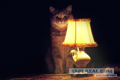 Датская итальянка в транссибирской плацкарте