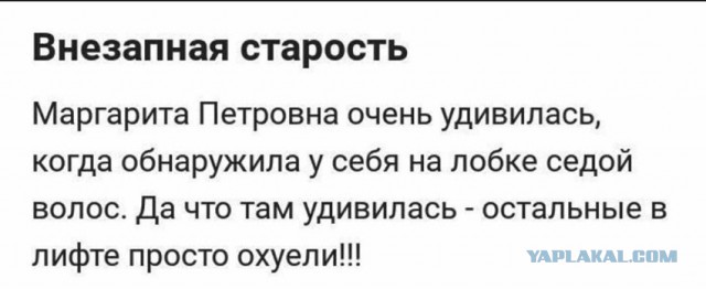 Итоги проверки пользователей