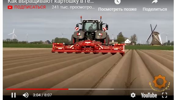 Как выращивают картошку в Германии