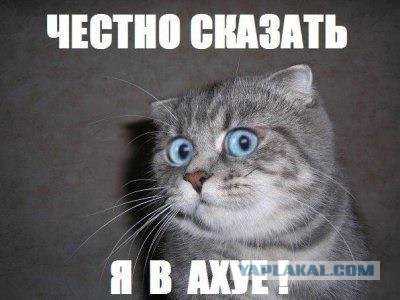 Как думаете, кем может работать эта симпатичная блондинка?