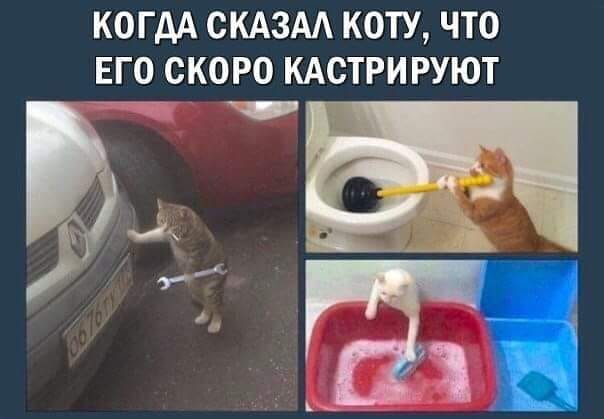 Немного картинок в эту среду