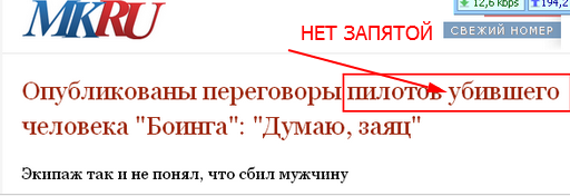 Опубликованы переговоры пилотов убившего человека "Боинга": "Думаю, заяц"