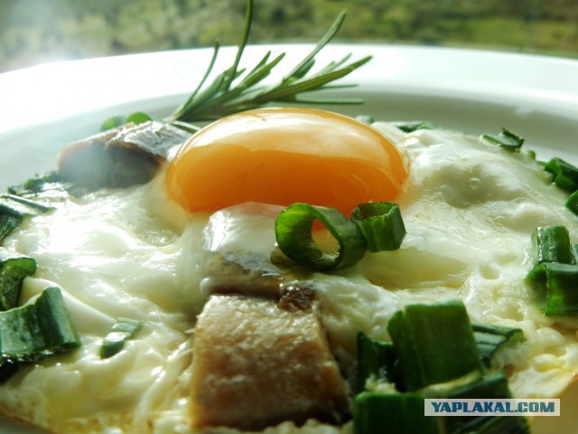 Селедка под шубой - 2019