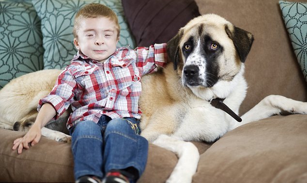 Трехногий пес помогает мальчику-инвалиду