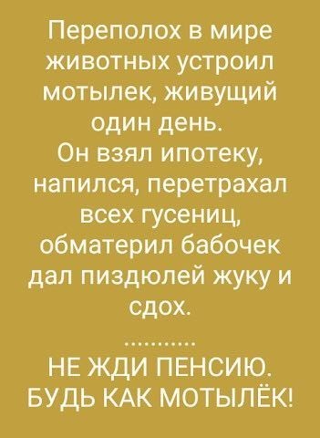 Подборка интересных и веселых картинок 19.04.19