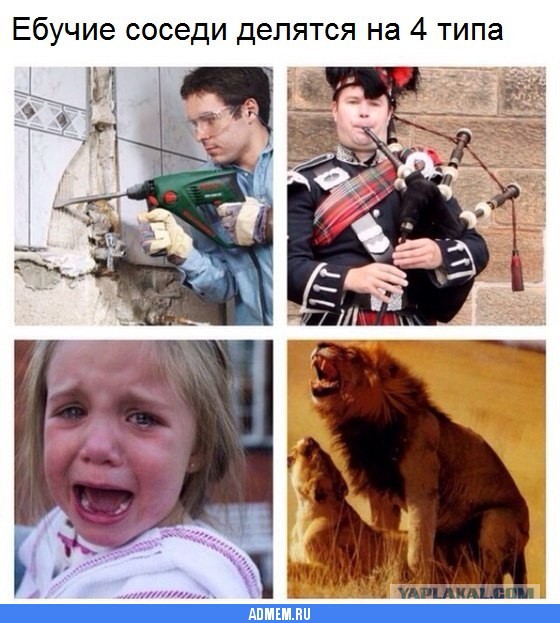 Сексуальный дурдом