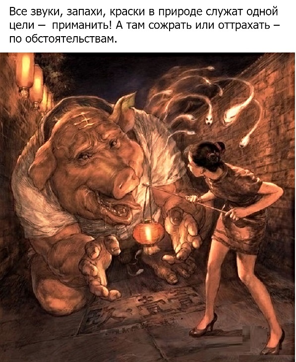 Картинки с надписями и анекдоты