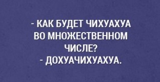Немного картинок для настроения