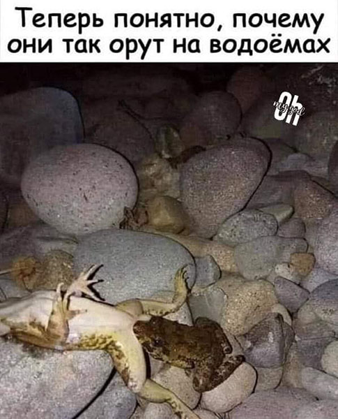 Картинки разные нужны, картинки всякие важны