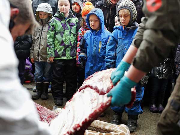 Зарубил топором собаку на глазах у детей
