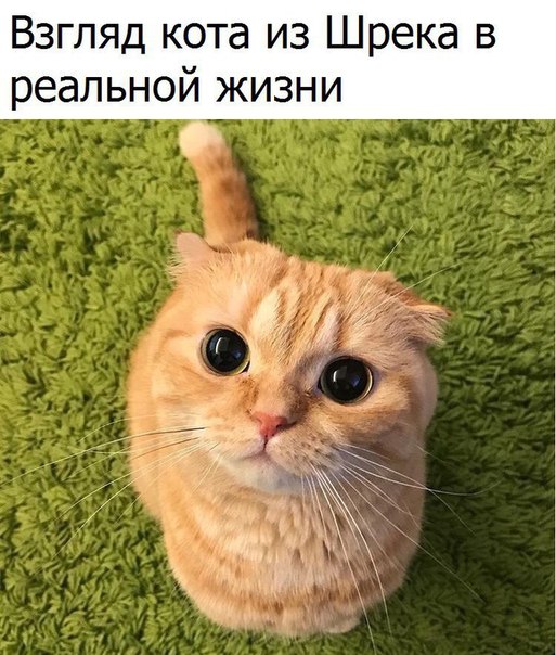 Немного картинок для настроения 28.01.20