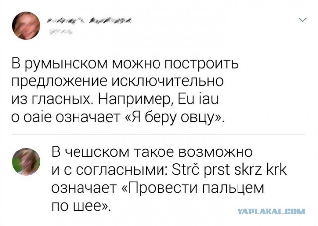 Немного фактов о разных языках мира