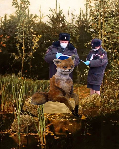 Фотожаба: Полиция штрафует