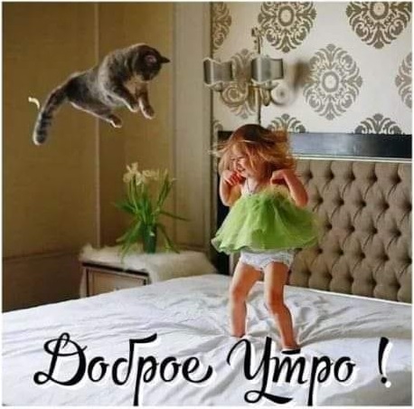 Бредзона 22.07.2020
