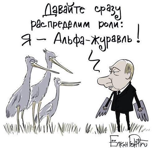 Израильские орнитологи при поддержке спецназа ЦАХАЛа вырастили грифа с помощью мультикоптера