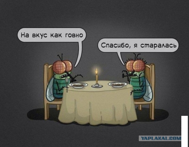 Зачем мухи потирают свои лапы