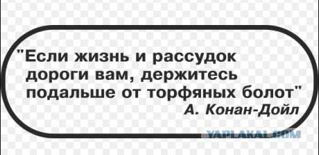Держитесь подальше от торфяных болот