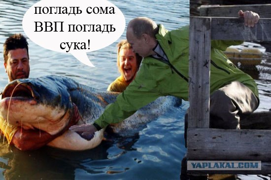 Путин и обитатели морских глубин