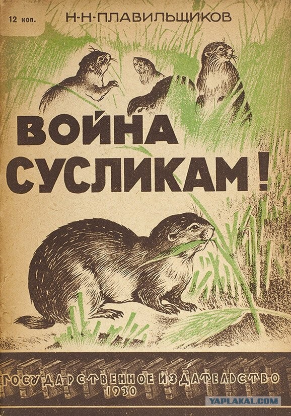 Поиск будущего мужа