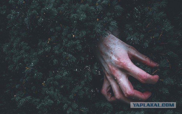 Всё не зря
