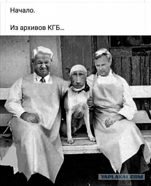 Юмор и прикольные картинки