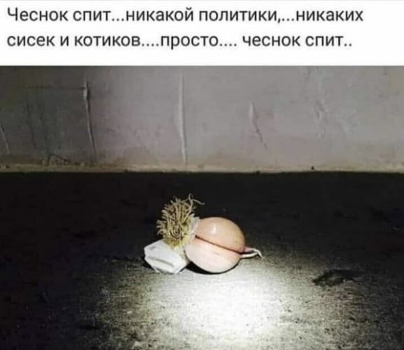 Дебилизмы из сети 04.02.21