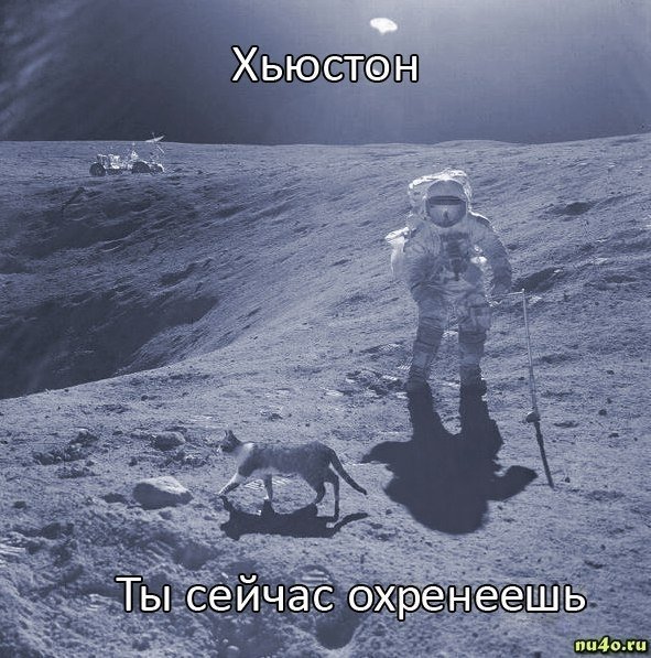 Спасибо Илону Маску. Он доказал, что американцы никогда не были на Луне