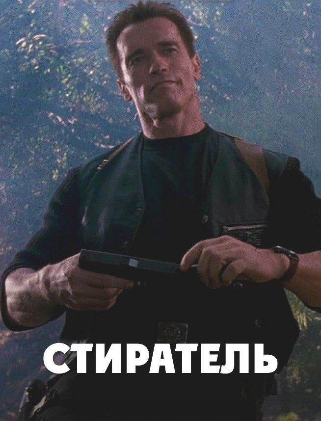 Чистильщик Шварценеггер