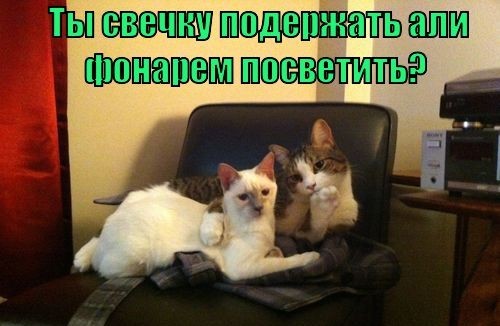 Наткнулся на очередного квартиросдатчика. Видимо не судьба!