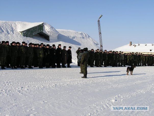 Жизнь на Новой земле.