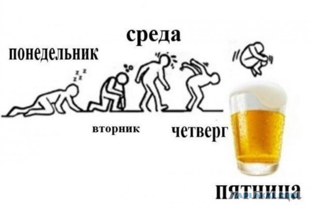 Алкопост 11.02.22