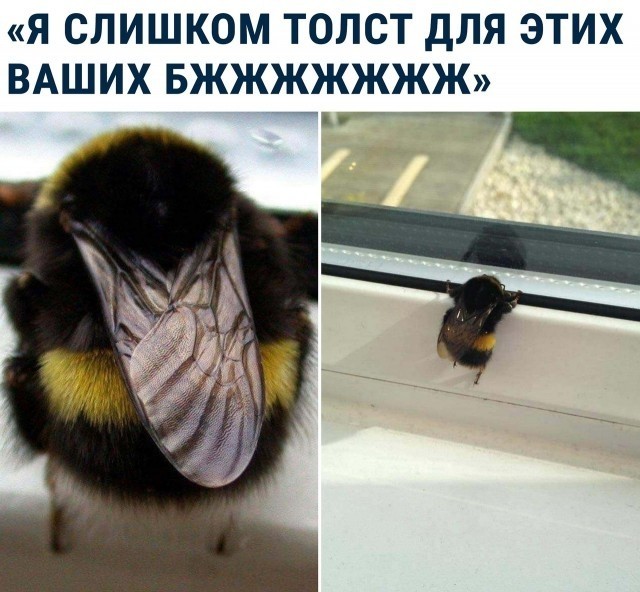 Так себе картинки 02.04.22