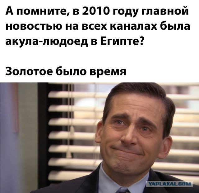 Забавные и веселые картинки