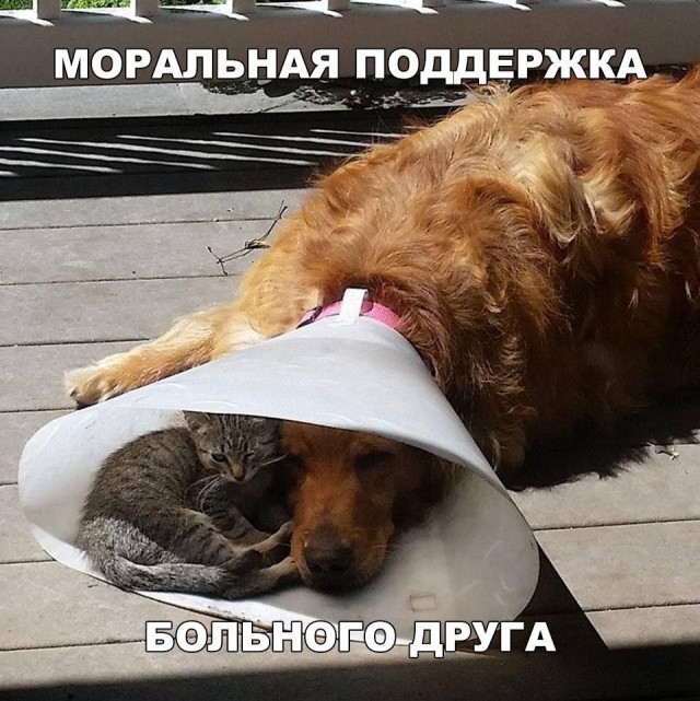 Так себе картинки 15.06.22