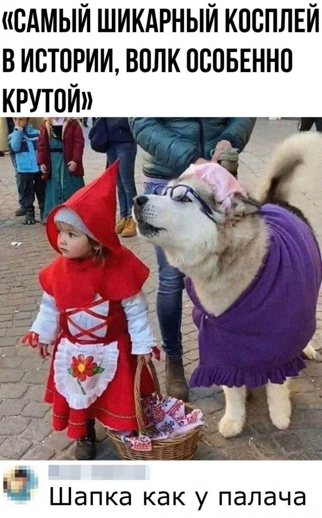 Картинки и мемы для настроения. Выходные близко...