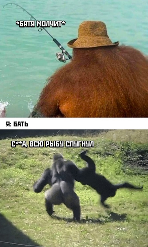 Весёлый полтишок 18.08.22