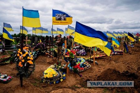Путин может выступить во вторник, 20 сентября, по поводу референдумов на территориях ЛНР, ДНР, Херсонской и Запорожской областей